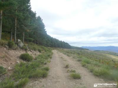 Colgadizos - Sierra de Somosierra; angostura puente del pilar fin de año montañas cuevas del aguila 